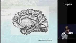 Miniature : PRISE EN CHARGE DU TRAUMATISME PSYCHIQUE PAR LA THÉRAPIE EMDR ET MÉCANISMES CÉRÉBRAUX IMPLIQUÉS