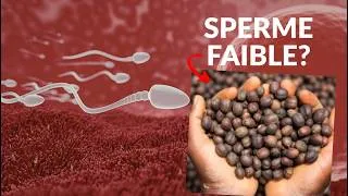 Miniature : Fertilité pour lui : Quelles plantes  utiliser ?