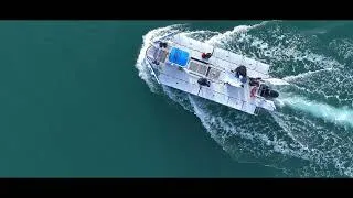 Miniature : The SeaCleaners : Cap sur les MOBULA