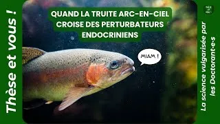 Miniature : TEV66 - ÉCOTOXICOLOGIE : Quand la truite croise un perturbateur endocrinien (miam)