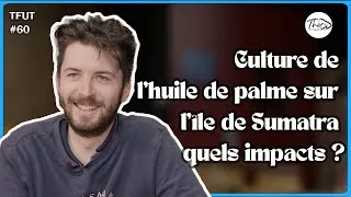 Miniature : Culture de l'huile de palme, sur l'île Sumatra quels impacts ? Carl Bethuel - T'fais une thèse ? #60