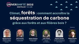 Miniature : Climat, forêts : accroître la séquestration de carbone grâce aux forêts et aux filières bois ?