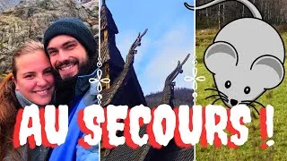 Miniature : On a une SOURIS dans notre FOURGON 🐭😱🚐⎮ROADTRIP en Van aménagé VLOG #30