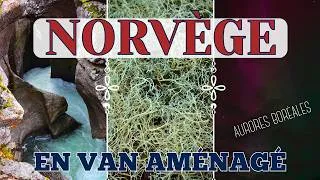 Miniature : On "PÊCHE" en NORVÈGE (et nos 1ères aurores boréales colorées)🎣🇳🇴❤️⎮ROADTRIP en Van aménagé VLOG #28