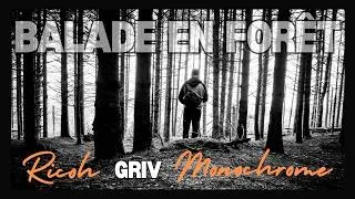 Miniature : POV: Balade en forêt avec le RICOH GRIV MONOCHROME 🖤🤍🌲