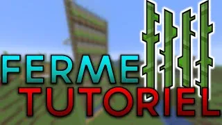 Miniature : Ferme à Canne à sucre FACILE dans Minecraft - Tutoriel 1.21.8
