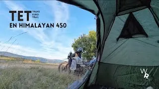 Miniature : TET PROVENCE EN HIMALAYAN 450