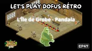 Miniature : Île de Grobe | DOFUS RÉTRO | EP47