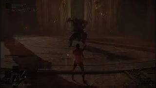Miniature : Elden Ring - Level 1 Wretch Vs Godfrey, First Elden Lord (Solo/No Hit)