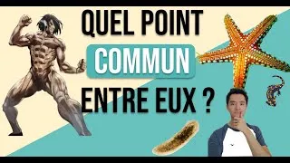 Miniature : Attaque des Titans (SNK) : Comment fonctionne la régénération des organes dans la vraie vie ?