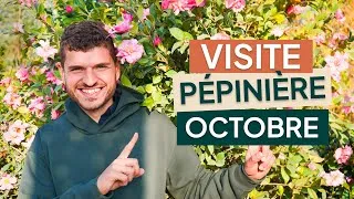 Miniature : 😍 Les couleurs d’octobre à la pépinière sont juste incroyables 🍂 (vous allez craquer !)
