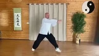 Miniature : Tai Chi Zuhelianxi : 7 mouvements de façon explosive par Thierry Alibert