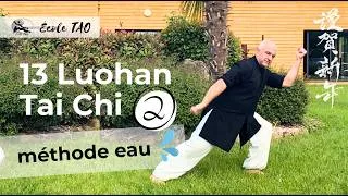 Miniature : 13 Luohan Taiji version 2 - méthode eau par Thierry Alibert