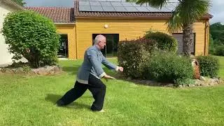 Miniature : Tai Chi Zuhelianxi - enchaînement de techniques par Thierry Alibert