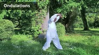 Miniature : Présentation de la série 4 du Qi Gong de la grande fluidité par Thierry Alibert