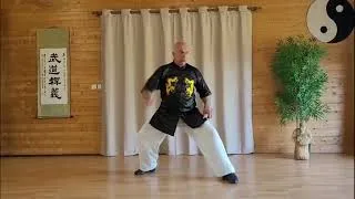Miniature : Tai Chi Zuhelianxi : 7 mouvements de façon explosive par Thierry Alibert