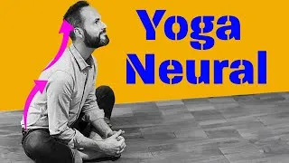 Miniature : 🧘‍♂️ Yoga NEURAL : 6 EXERCICES Anti Stress Anti Douleur Travailler sur le Système Nerveux Autonome