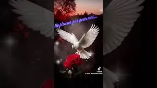 Miniature : 24 mai 2026