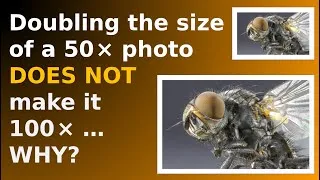Miniature : 50x image, double its size... still 50x! Why? #VeritasiumContest #shorts (sous-titres FR dispo.)