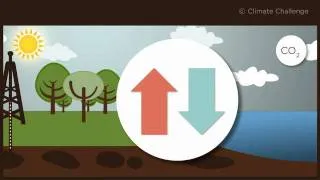 Miniature : Climate Challenge: qu'est-ce que le cycle du carbone?