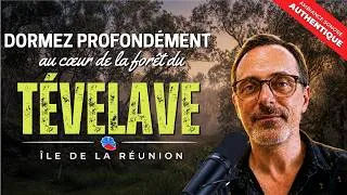 Miniature : Hypnose guidée pour S'ENDORMIR dans la Forêt du Tévelave