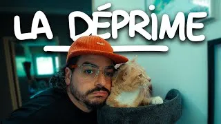Miniature : Je dois tout changer, sinon j’arrête ! - There Will Be Vlogs