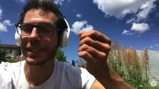 Miniature : PERMACULTURE - LES FRUITS À CUEILLIR EN JUIN