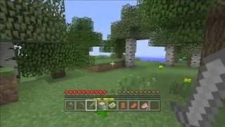 Miniature : Let's Play Aventure sur Minecraft-Un début chaotique #1