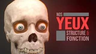 Miniature : Comment fonctionne l'œil humain ! (Animation)