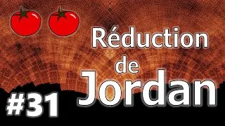 Miniature : Thomaths 31 - Réduction de Jordan