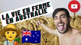 Miniature : LA VIE EN FERME EN AUSTRALIE ! (EPISODE 2)