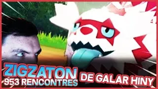 Miniature : 1ER SHINY 8G INCROYABLE ! Zigzaton Galar (Galarian Zigzagoon) shiny live réaction | Pokémon Bouclier