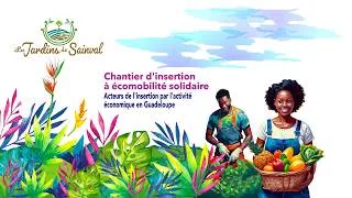 Miniature : Navette ESPAIRE - Secours Adventiste Archipel Guadeloupe