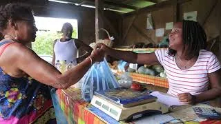 Miniature : Les défis de l'agriculture dans les Caraïbes