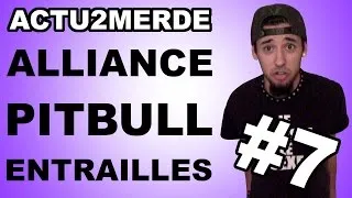 Miniature : ACTU2MERDE #7 - ALLIANCE, PITBULL ET ENTRAILLES