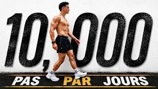 Miniature : 10 000 Pas par Jour Pendant 60 Jours !!