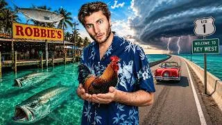 Miniature : KEY WEST : c'est un AUTRE MONDE ! (la vraie Floride)