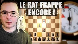 Miniature : La DÉFENSE du RAT a encore FRAPPÉ ! (Blitz échecs)