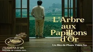 Miniature : 🦋 L'arbre aux papillons d'or, un magnifique road-movie méditatif dans les campagnes vietnamiennes