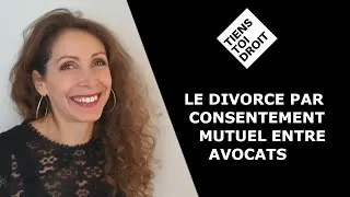 Miniature : Le divorce par consentement mutuel