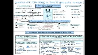 Miniature : Terminale SES - Comment est structurée la société française actuelle ?