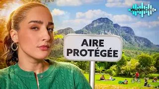 Miniature : Les aires protégées protègent-elles vraiment ? Feat Nesrine Slaoui (@Nesrine_Slaoui)