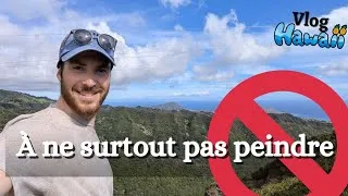 Miniature : Donner un intérêt à vos peintures au-delà de la technique (vlog Hawaï 1 ☀️)