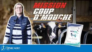 Miniature : ACTISAN : Opération Coup d’Mouche