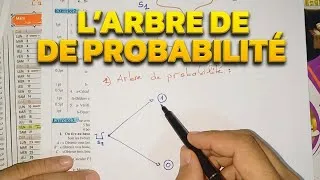 Miniature : L'astuce pour ne plus jamais se tromper dans l'Arbre de Probabilité 2BAC