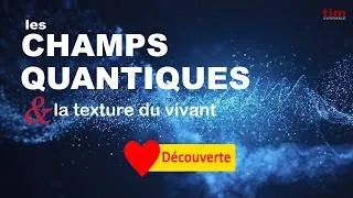 Miniature : #722 SPIRITUALITE LOGIQUE ©TIMexperience 2026 #spirituality #spiritualjourney #spiritualawakening