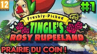 Miniature : Tine's Play : Tingle's Rosy Rupeeland | Ep 1 [FR] - Prairie du Coin !
