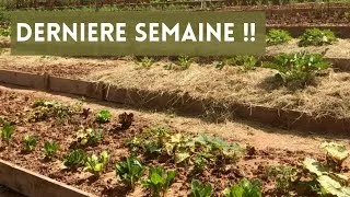 Miniature : Dernière semaine !!!