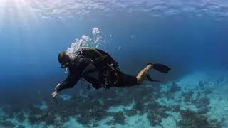 Miniature : 🏝️✨ ASMR : GUADELOUPE - DRIFT CARANGUE  🌊🐡 (2026) (VR360+4k)
