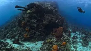 Miniature : 🏝️✨ ASMR : GUADELOUPE - UNDER BOAT  🌊🐡 (2026) (VR360+4k)